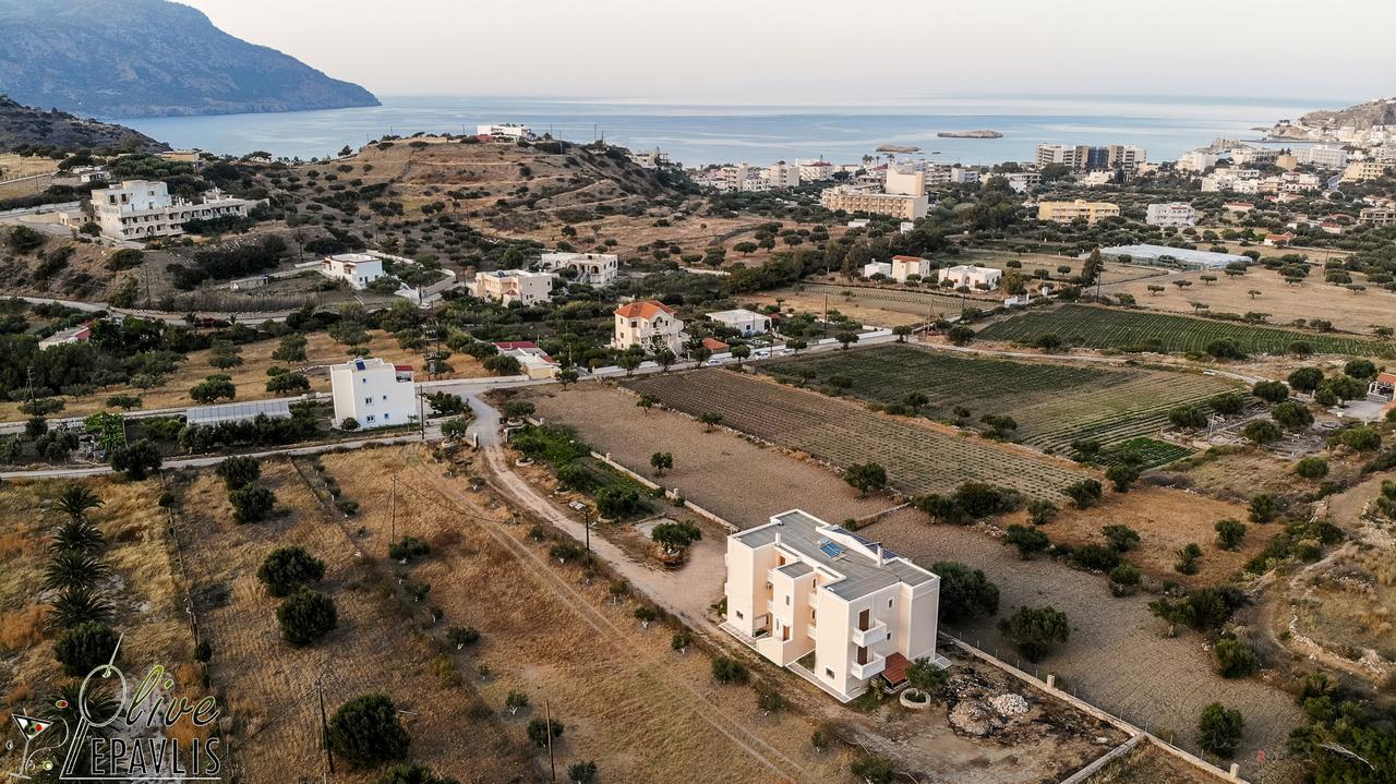 Olive Epavlis Apartamento Cárpatos Exterior foto